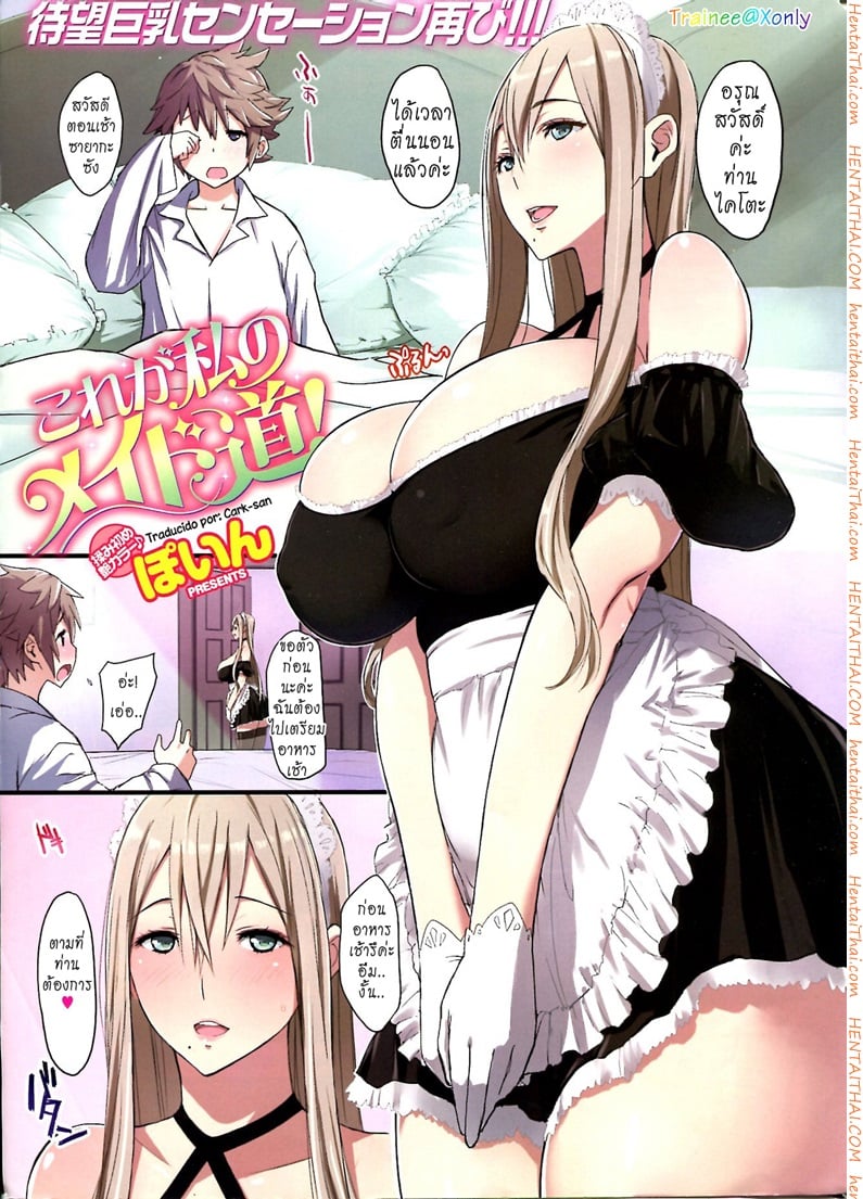 การทำงานของสาวรับใช้ประจำวัน