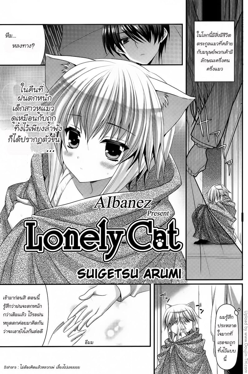 ข้อดีของการเลี้ยงแมว