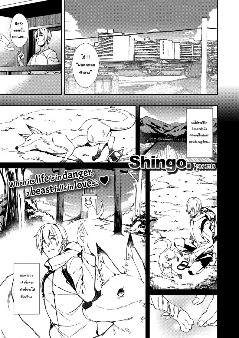 จิ้งจอกขอตอบแทน [Shingo] A Fox's Requitail