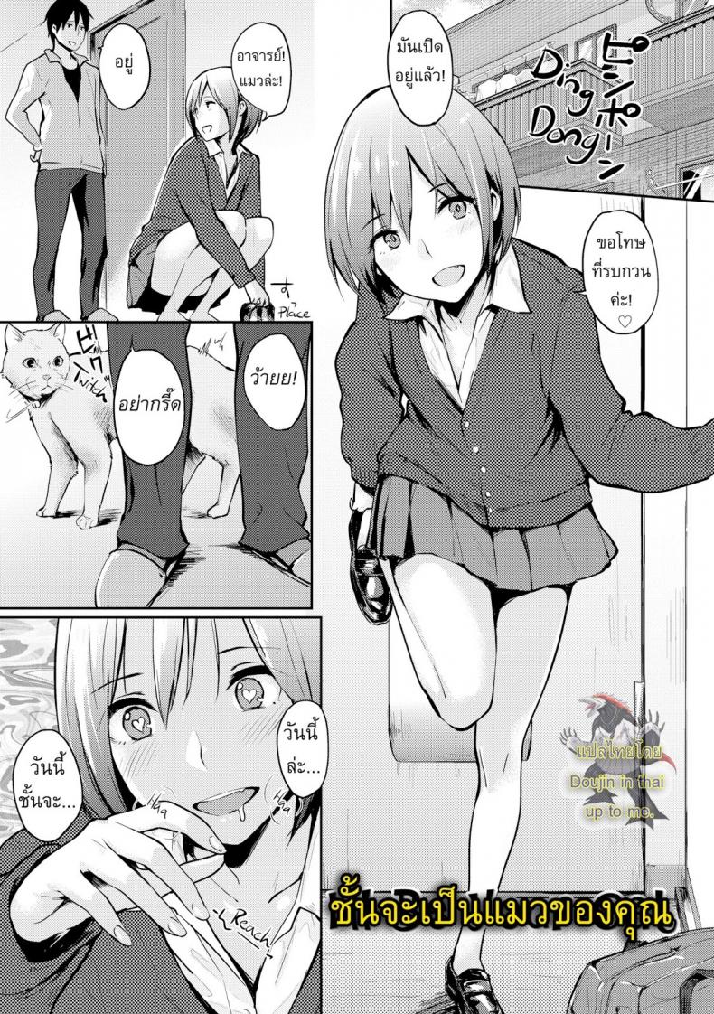 ฉันจะเป็นแมวของเธอ [Napata] i'll be your cat