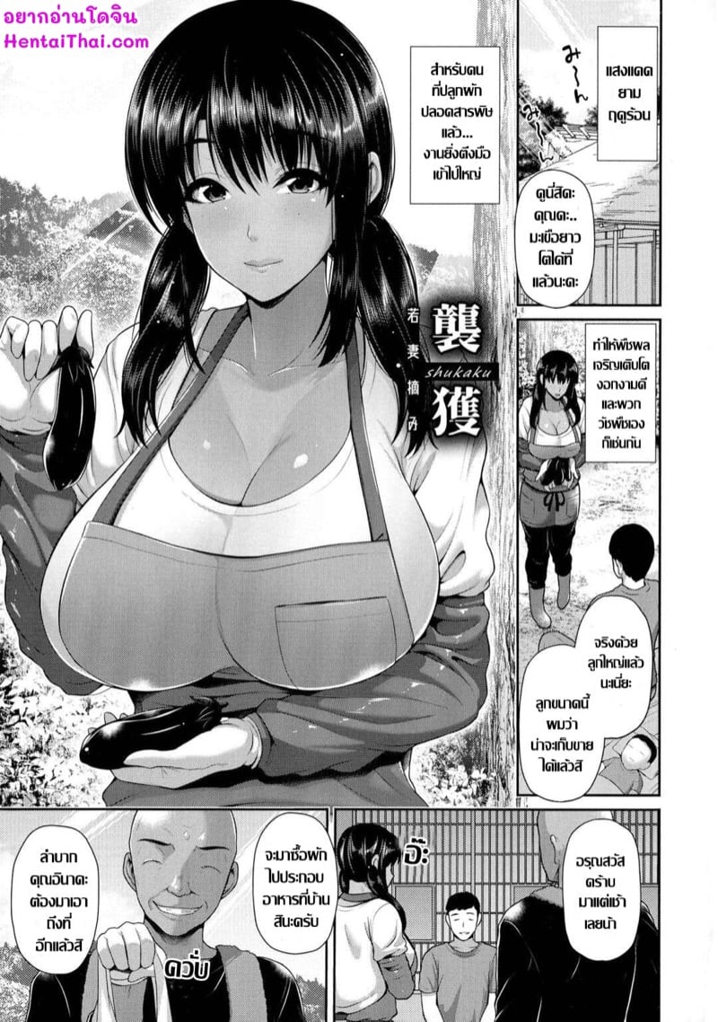 ชั้นเชิงขิงแก่ ไม้เด็ดสอยคุณนายสาว