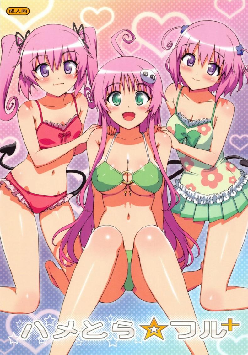 ชายที่เหมาะสม [Hame Tora Full]