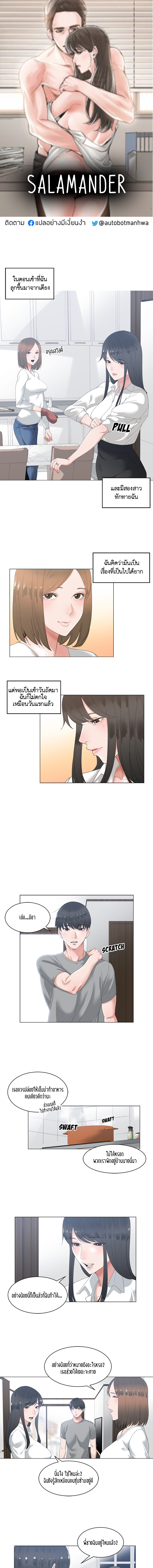 ซาลาแมนเดอร์