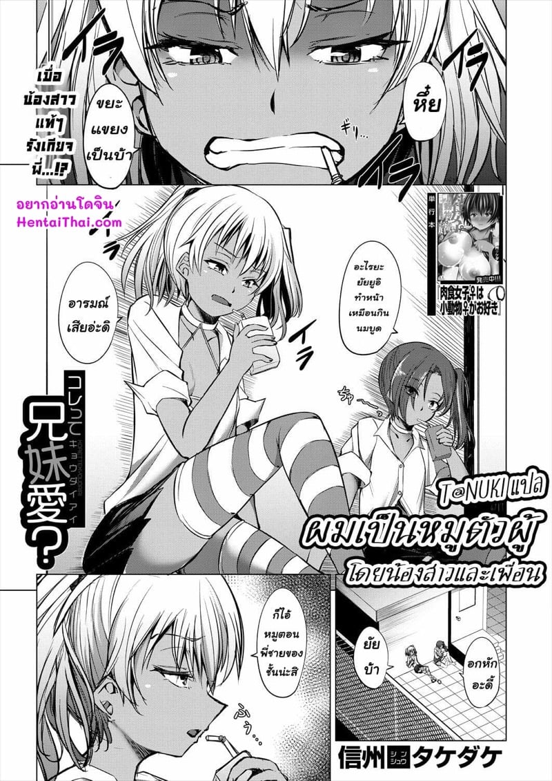 ผมเป็นหมูตัวผู้ โดยน้องสาวและเพื่อน