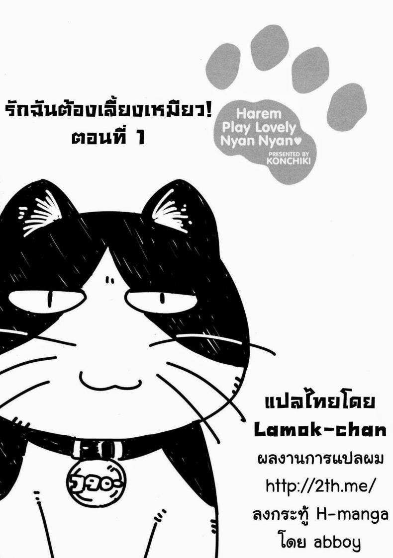 รักฉันต้องเลี้ยงเหมียว LSEA474