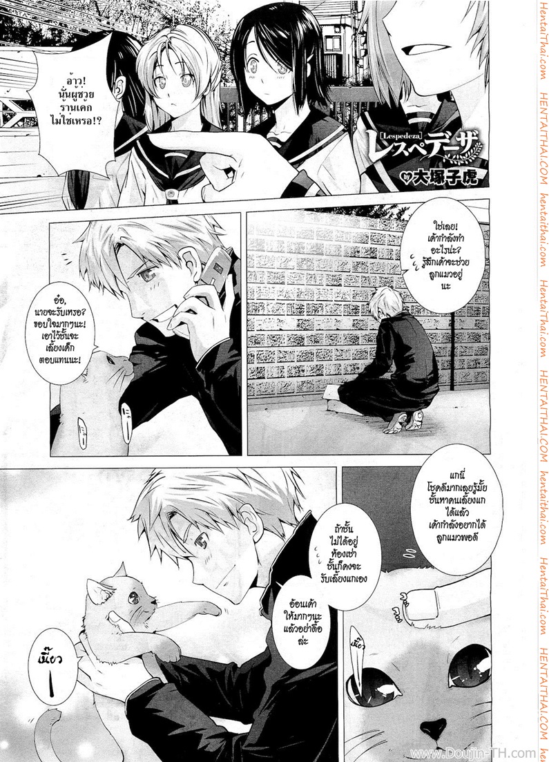 รักเหมียวๆ ขอเกี่ยวใจ