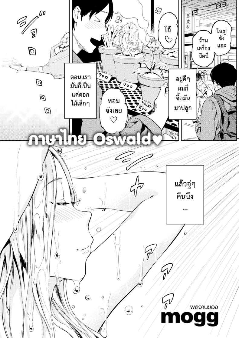 สาวดอกไม้ [mogg] Hanasaka Musume