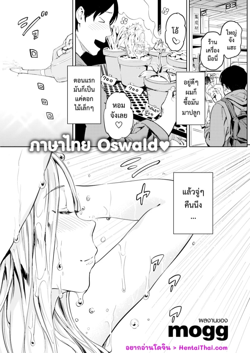 สาวดอกไม้