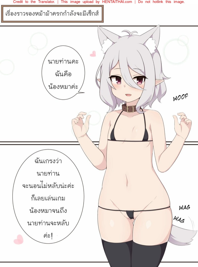 สุดท้ายก็ไม่ได้นอน