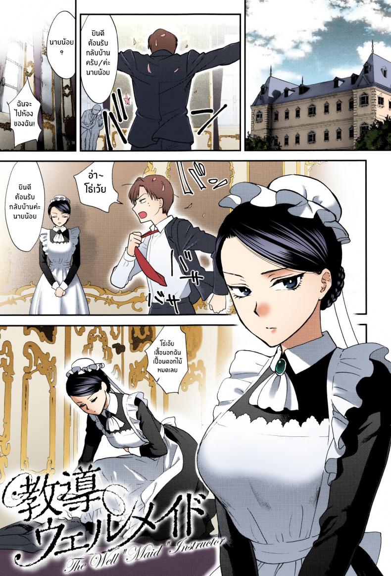 หน้าที่ของเมดที่ดี [Syoukaki] Kyoudou Well Maid