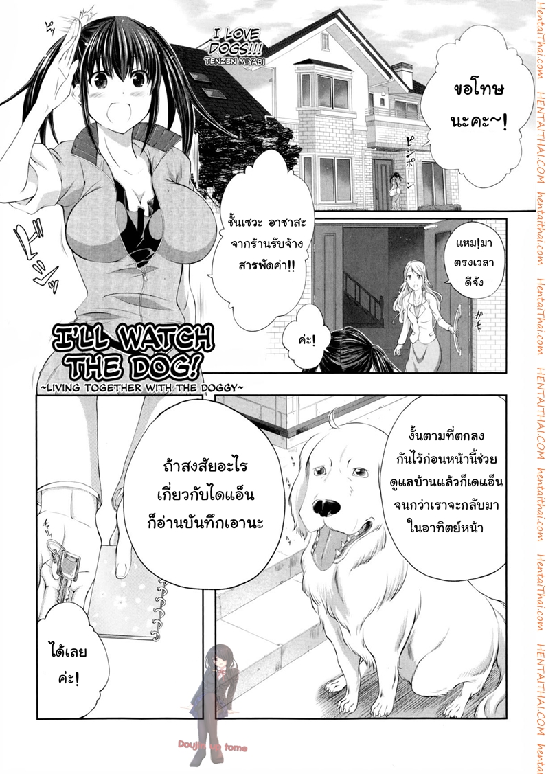 หมาบ้านนี้เอวดีสุดๆ