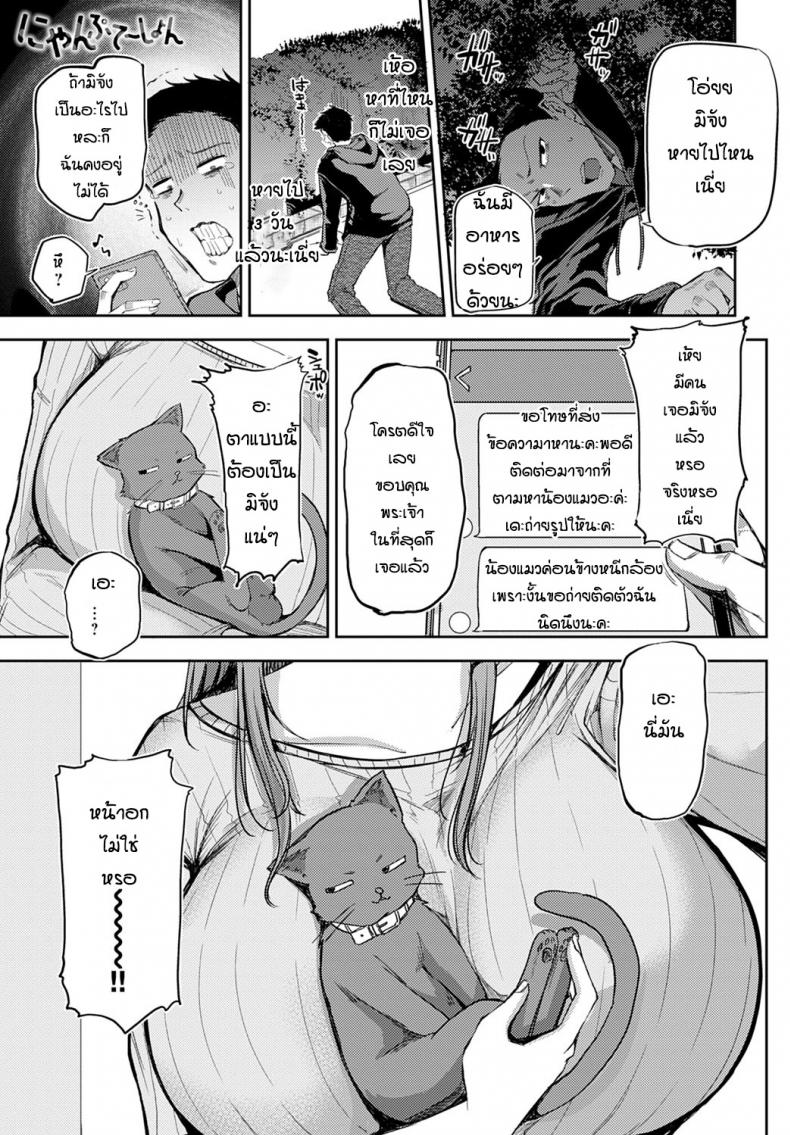 หาแมวจนได้เรื่อง [Miyoshi] Nyanptation