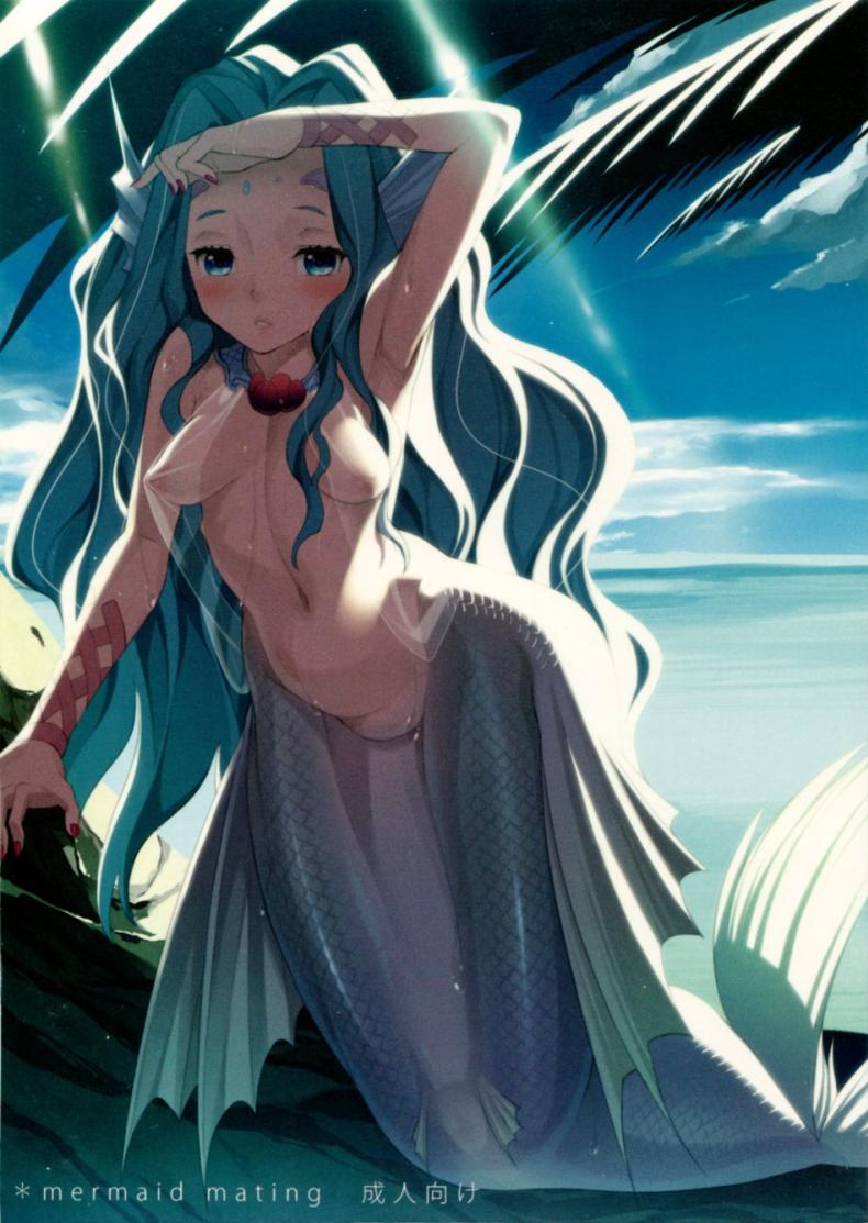 เงือกสาวอยากตั้งท้อง (C84) [Erdelied (Nenemaru)] mermaid mating