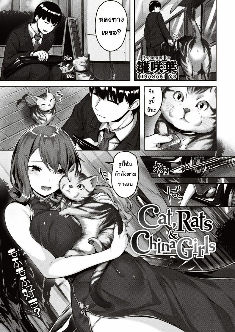 เจอแมวหลงทาง [Hinasaki yo] Cat, Rats&China Girls