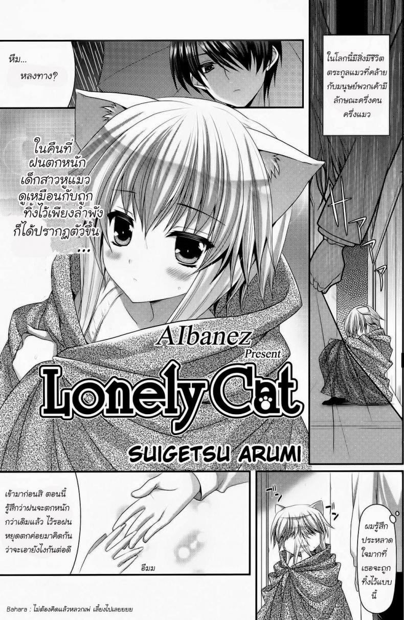 เด็กหูแมว [Suigetsu Arumi] Lonely Cat (Comic Potpourri club 12-2012)