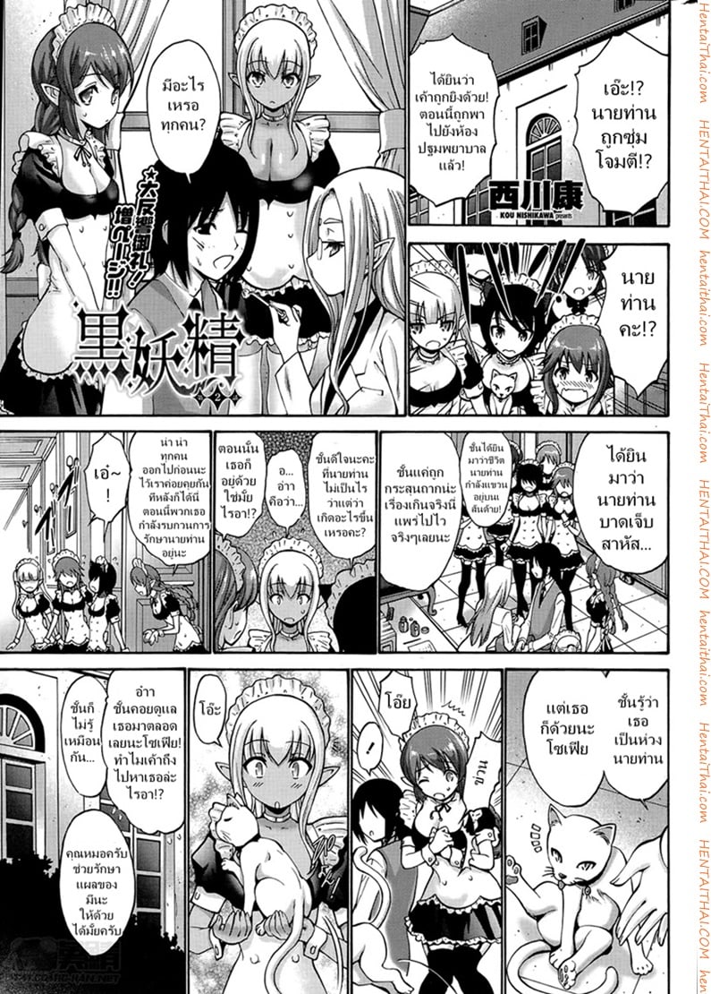 เมดสาวดาร์กเอลฟ์ 2