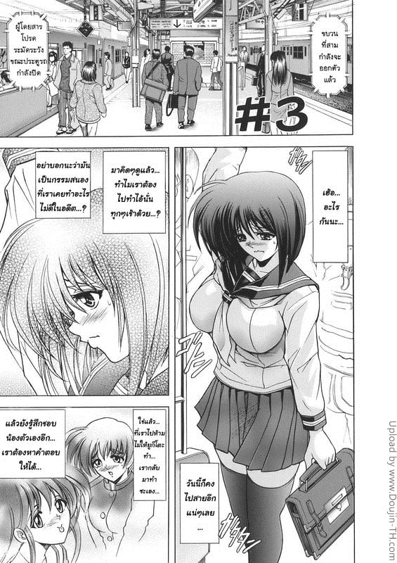 เอามาก๊อปแล้วก็ปี้ 3