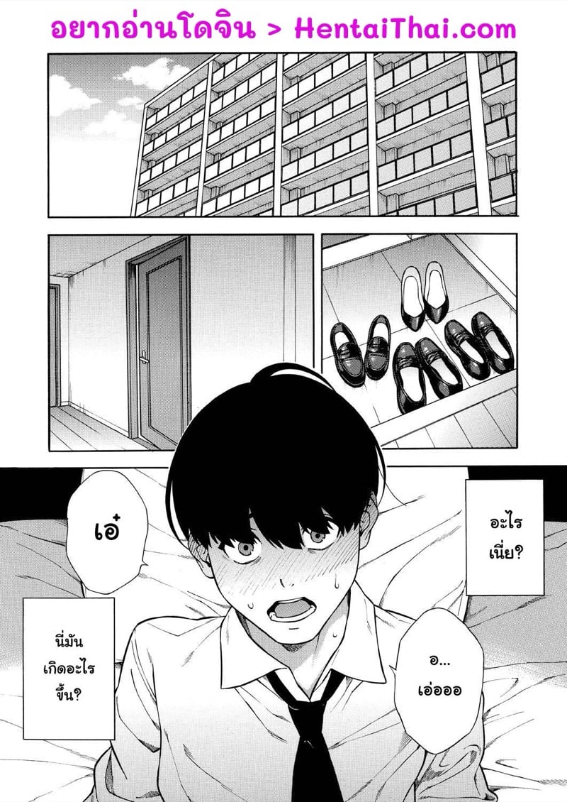 แบ่งแฟนกันใช้