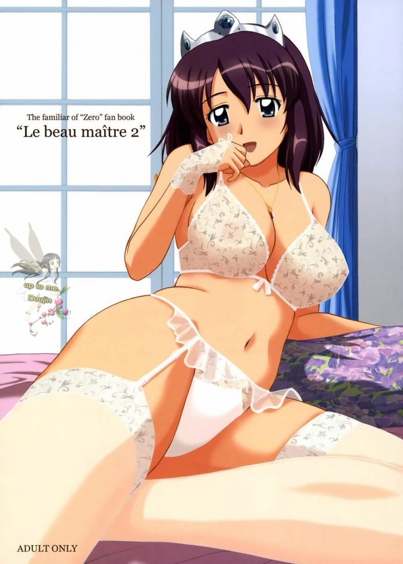 แฟนเดย์กับเจ้าหญิง (C72) [G-SCAN CORP. (Satou Chagashi)] Le Beau Maitre 2 (Zero no Tsukaima)