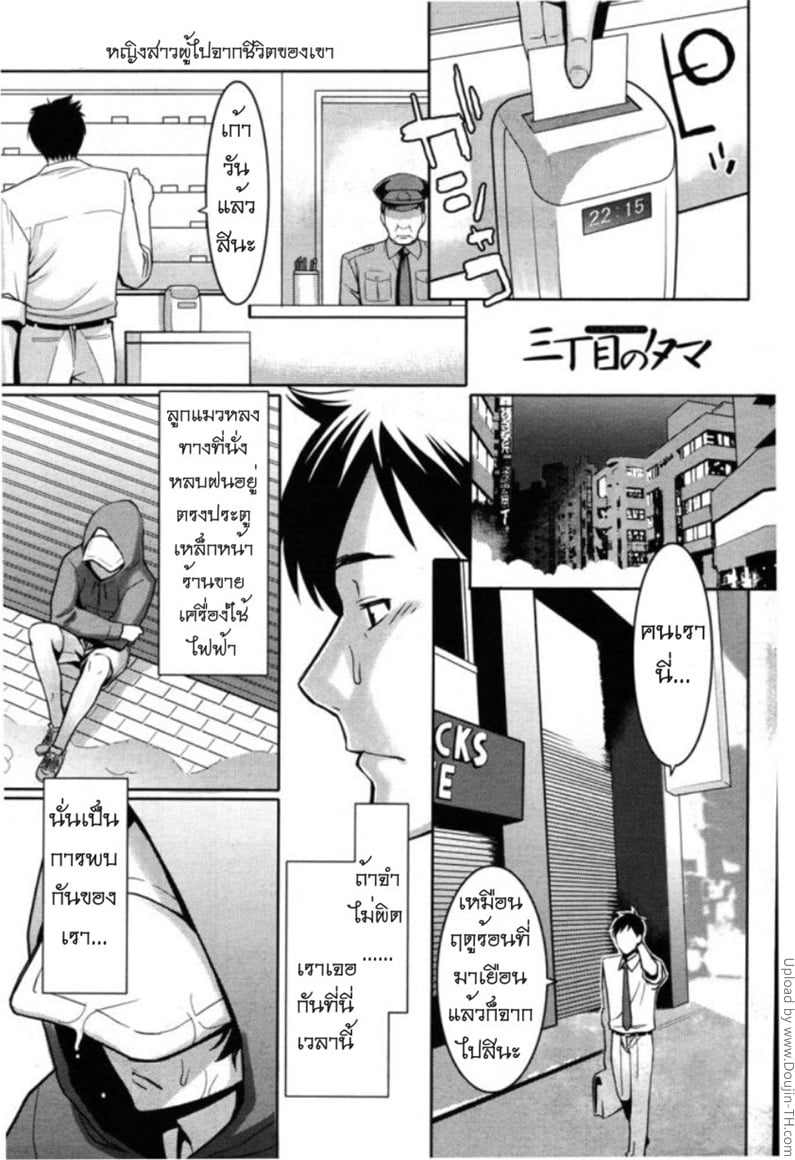 แมวข้างถนน 2 - เสียงร้องของเธอ