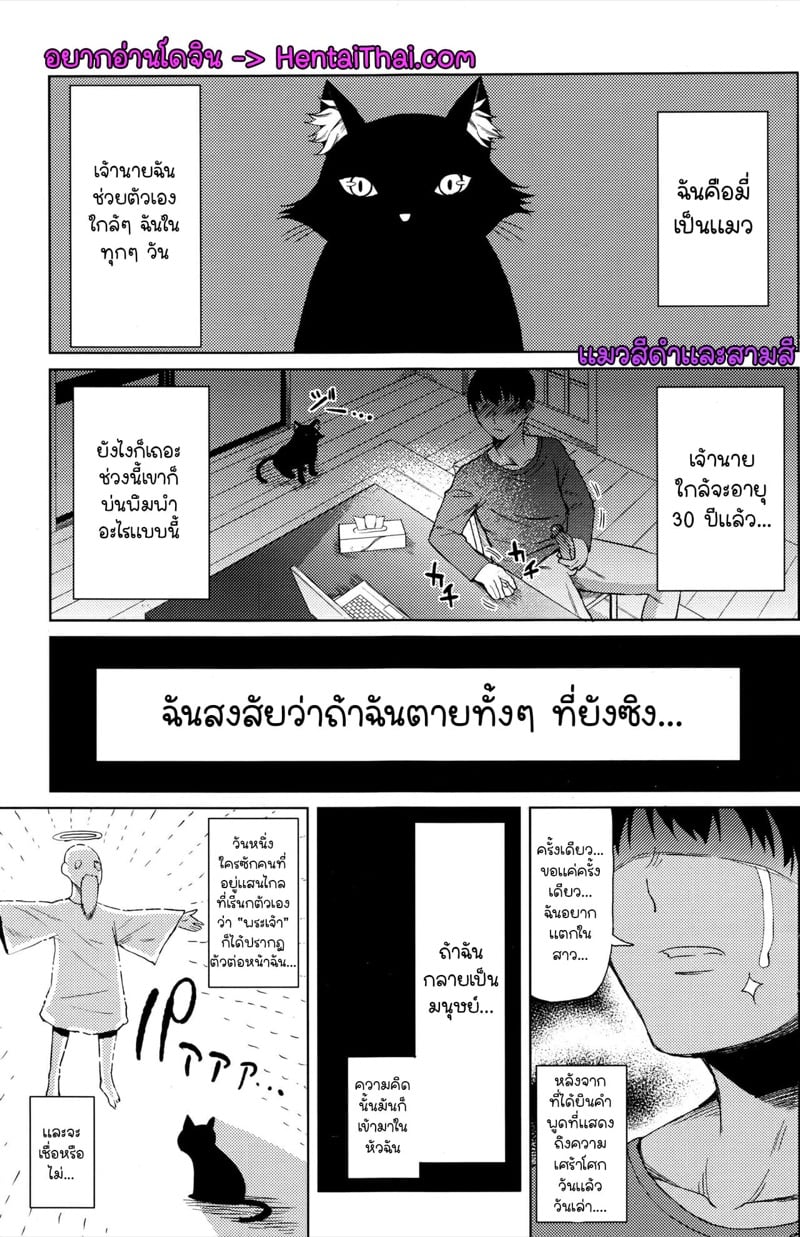 แมวเป็นคน