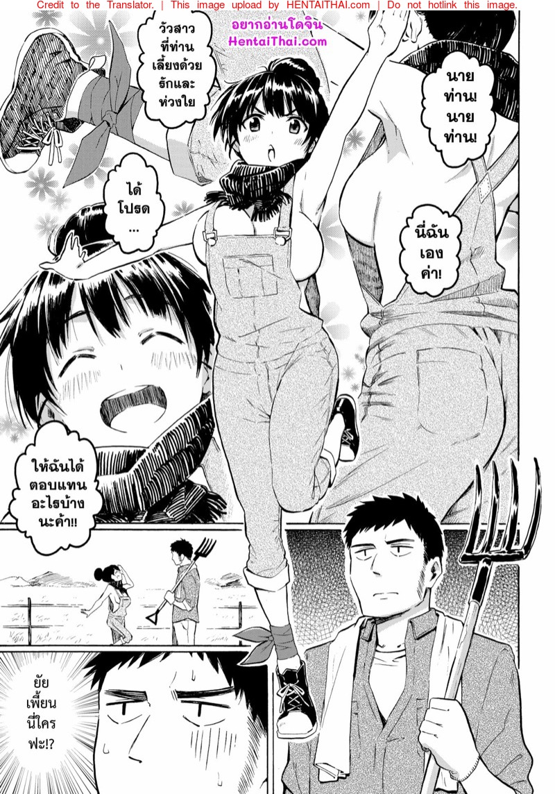 แม่วัวตัวดี