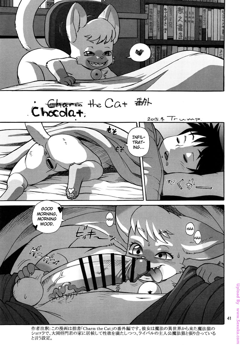 Chocolat the Cat