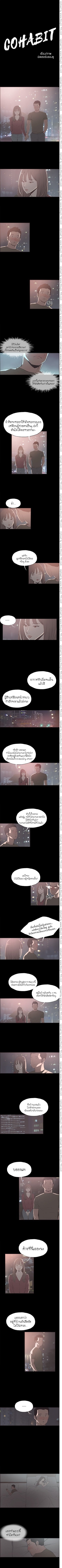 Cohabit 40
