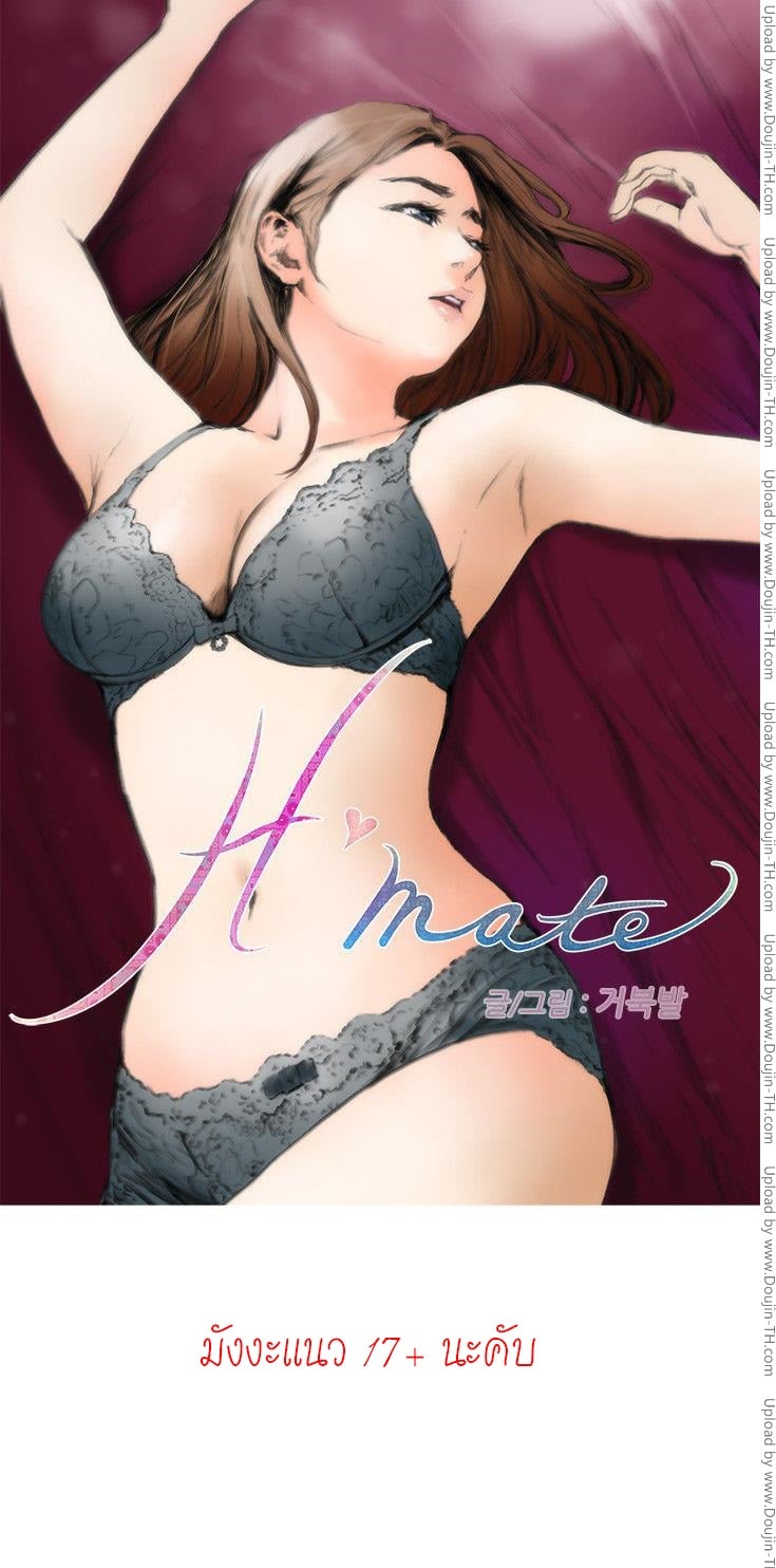 H-Mate 1