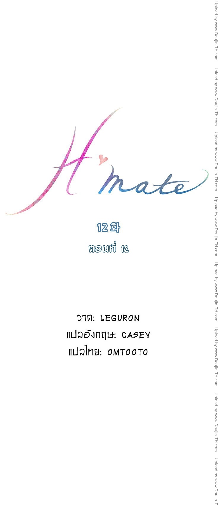 H-Mate 12