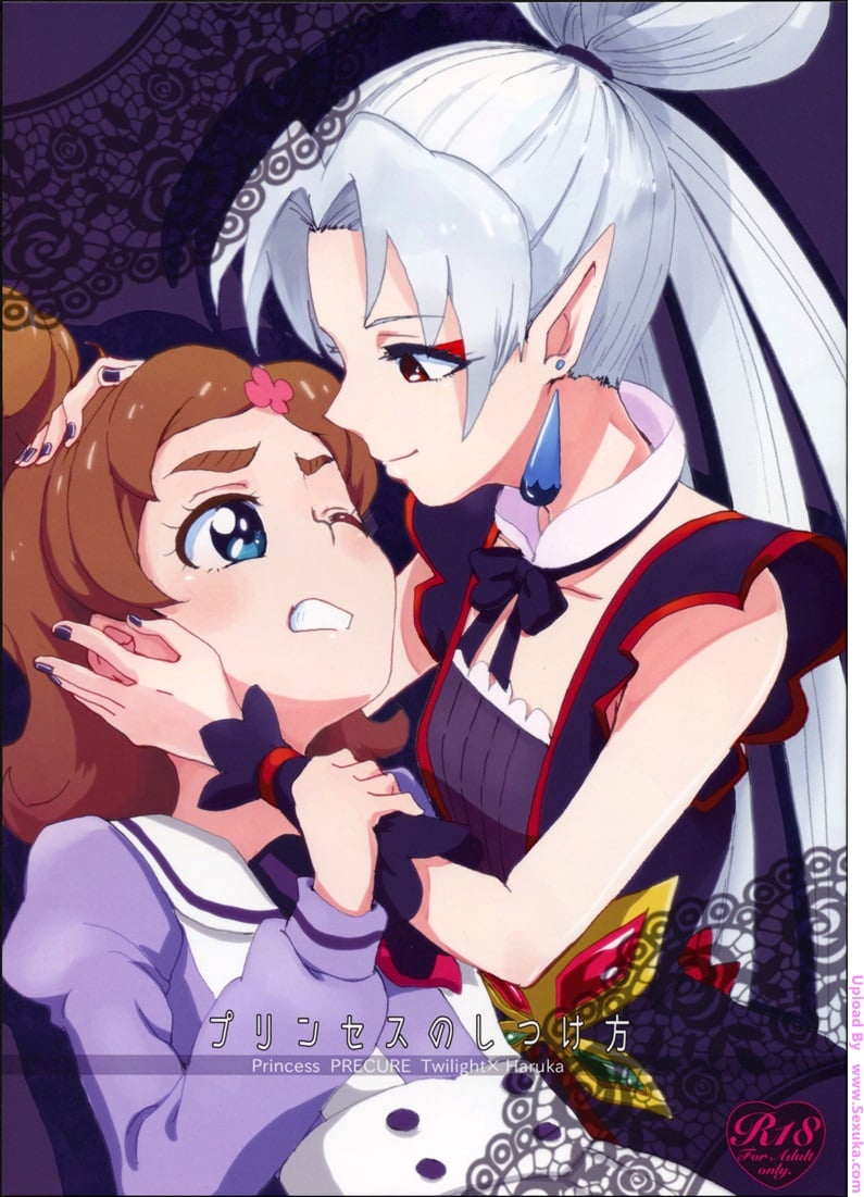 Princess no Shitsukekata | Princess Training
